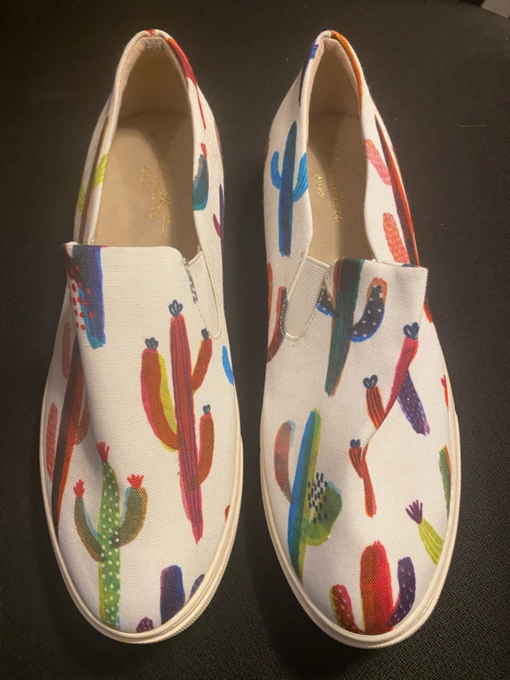 Ariat White Canvas Slip-Ons with Multicolor Cactus Motif